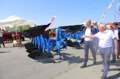 Mini IMG 0337